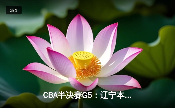 CBA半决赛G5：辽宁本钢加时逆转广东宏远 赵继伟35分创生涯新高 - 3