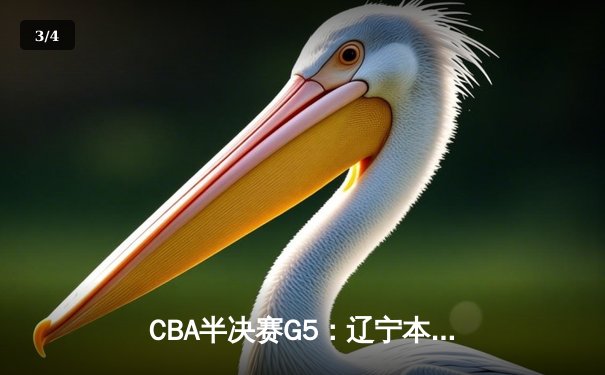CBA半决赛G5：辽宁本钢加时逆转广东宏远 赵继伟35分创生涯新高 - 3